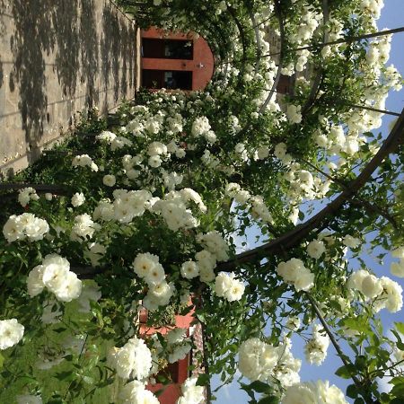Agriturismo Casale Le Selvette Ripa Exteriér fotografie