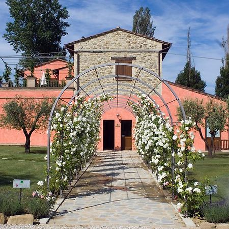 Agriturismo Casale Le Selvette Ripa Exteriér fotografie