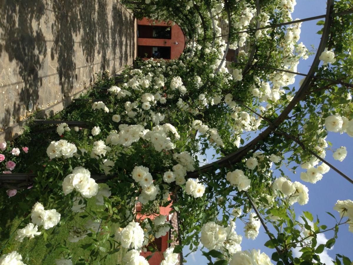 Agriturismo Casale Le Selvette Ripa Exteriér fotografie