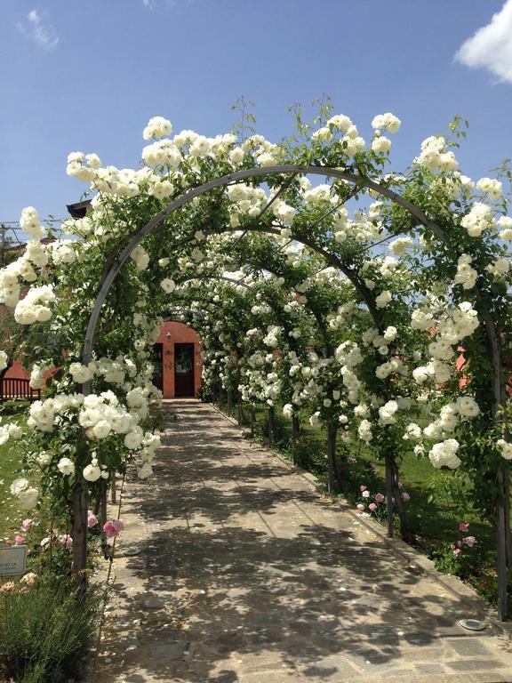 Agriturismo Casale Le Selvette Ripa Exteriér fotografie