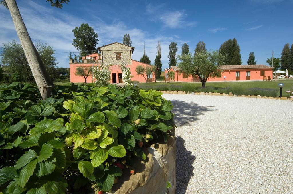 Agriturismo Casale Le Selvette Ripa Exteriér fotografie