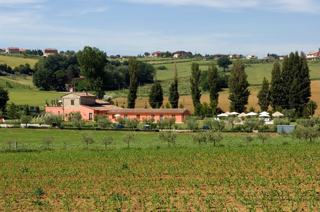 Agriturismo Casale Le Selvette Ripa Exteriér fotografie