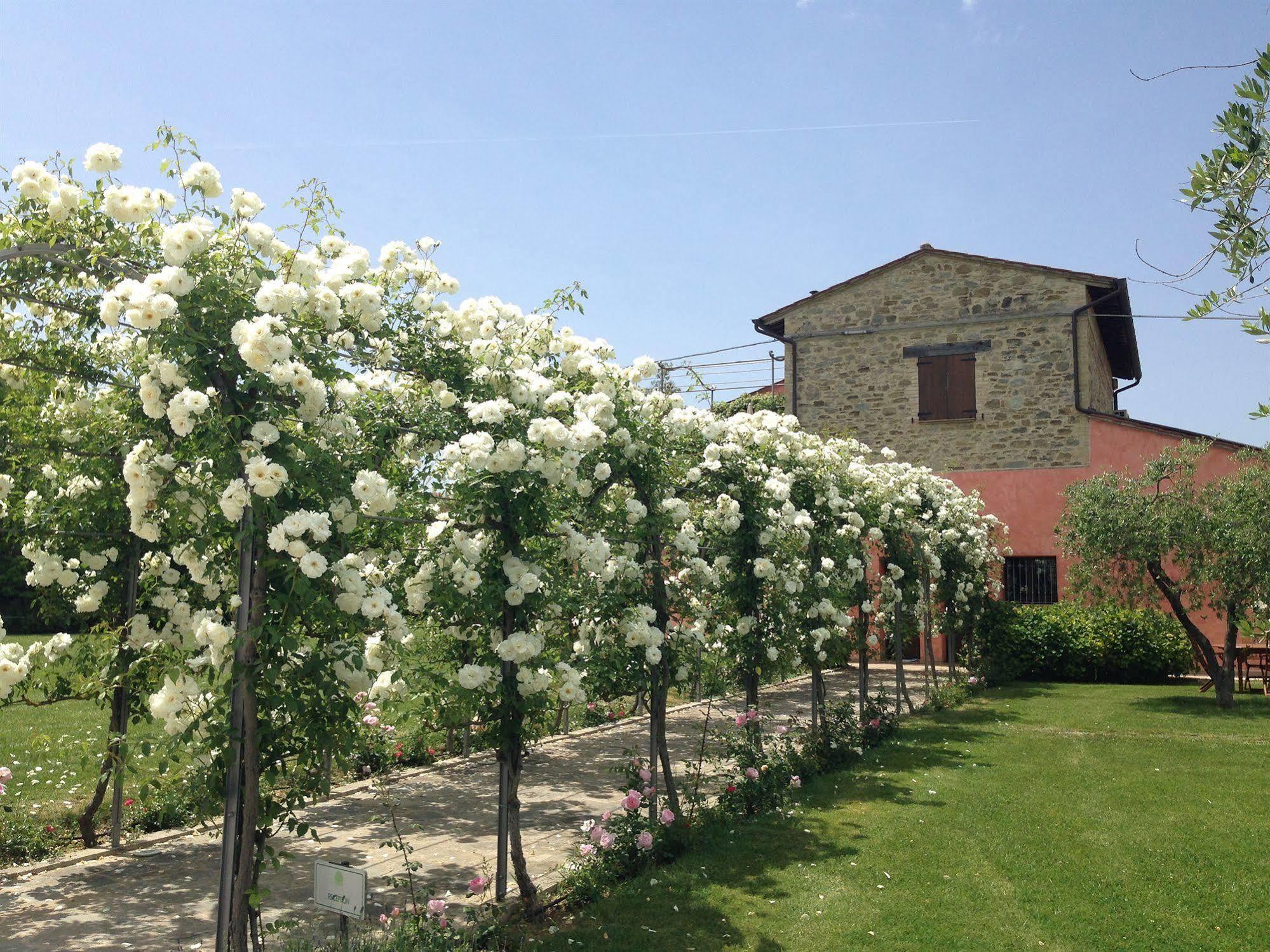 Agriturismo Casale Le Selvette Ripa Exteriér fotografie